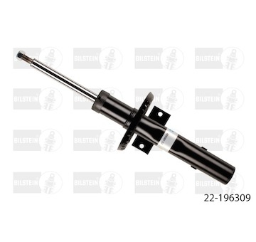22-196309_1.BMP